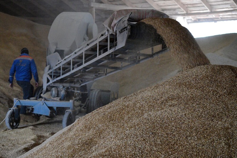 Bloomberg: due to the influx of Ukrainian grain in the EU countries, governments may change