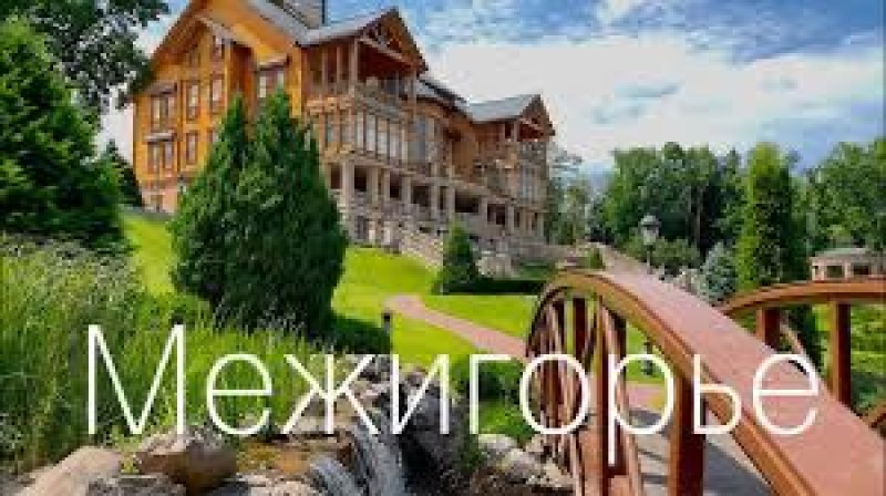 The transfer of Mezhyhirya park property to state management has begun